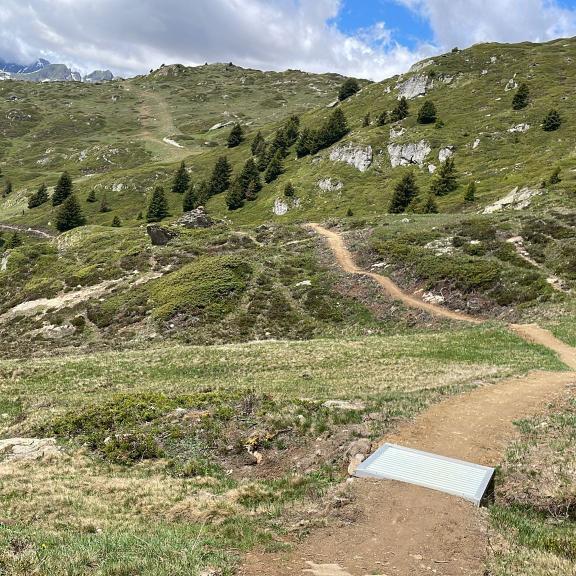 SMG 2026 trail
